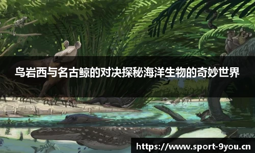 九游体育官网